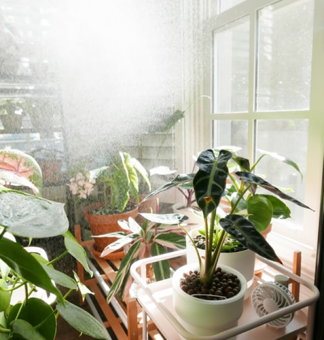 Personal Garden